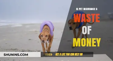 Pet Insurance: Money-Waster or Smart Investment?