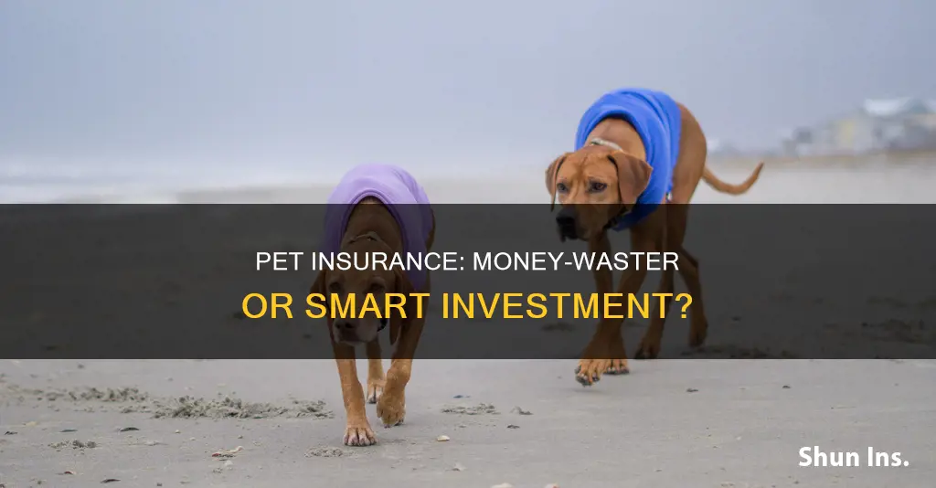 is pet insurance a waste of money