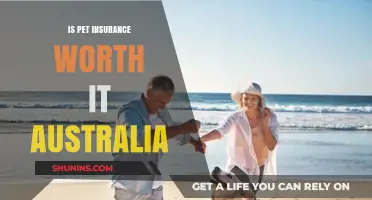 Pet Insurance in Australia: Worth the Cost?