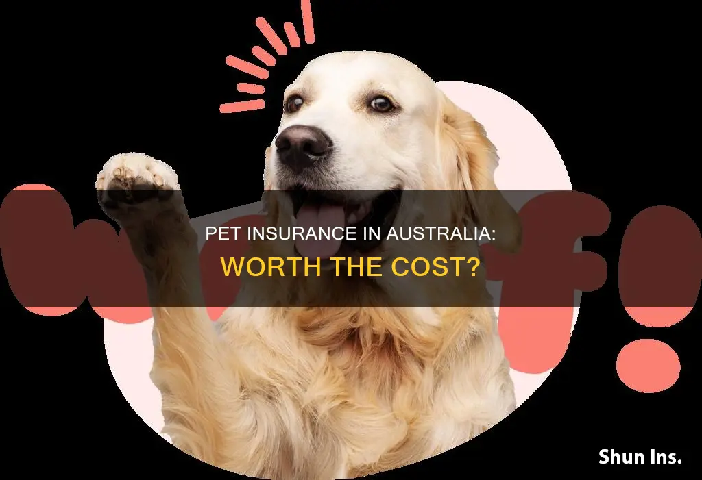 is pet insurance worth it australia