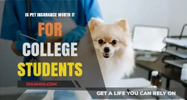 Pet Insurance: Worthwhile for College Students?