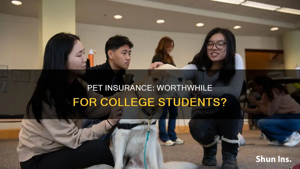 is pet insurance worth it for college students