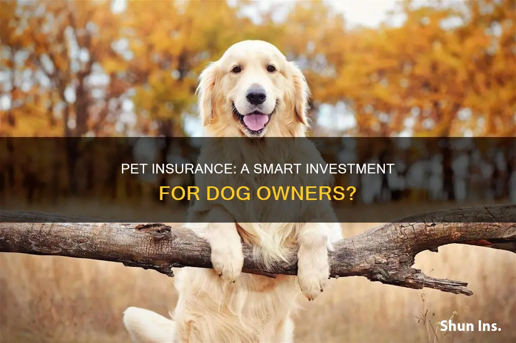 is pet insurance worth it for dogs