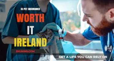Pet Insurance in Ireland: Is It Worth the Cost?