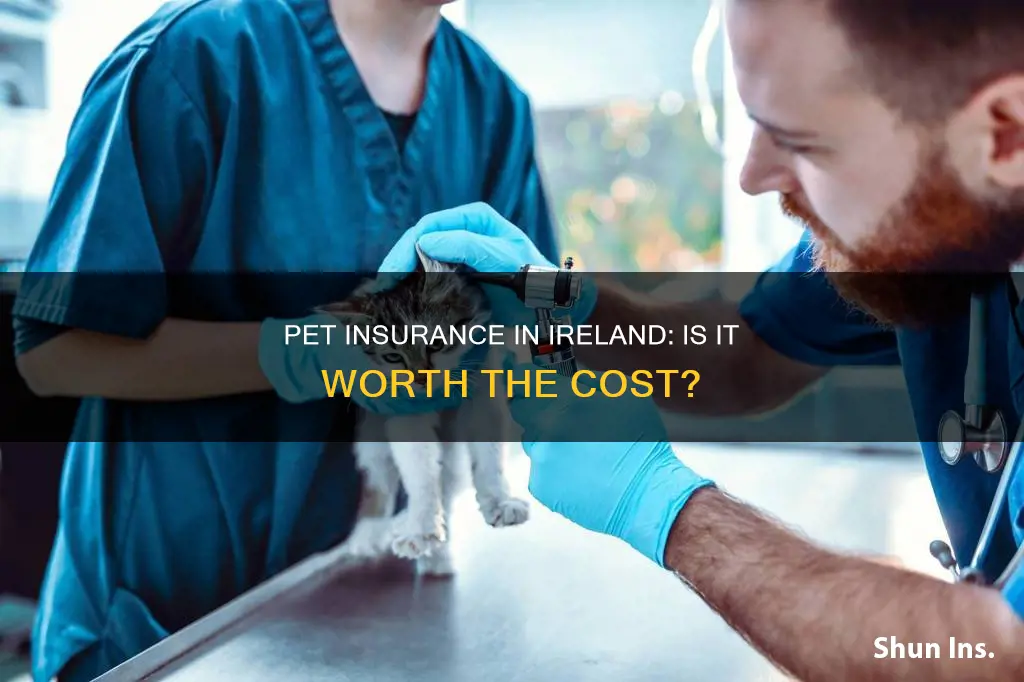is pet insurance worth it ireland