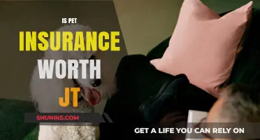 Pet Insurance: Worth the Cost?