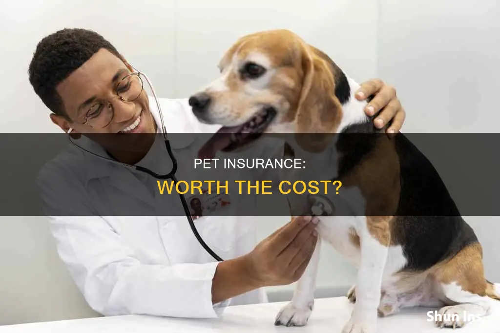 is pet insurance worth jt
