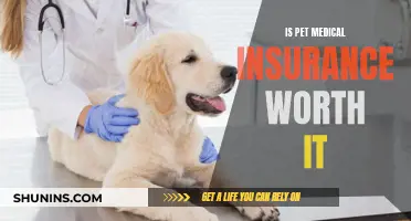 Pet Insurance: Worth the Cost?