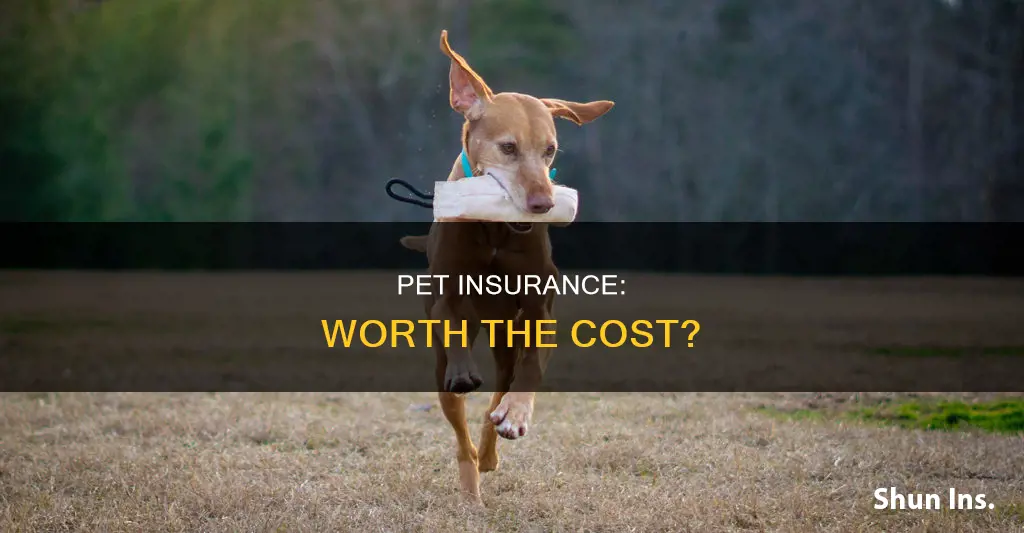 is pet medical insurance worth it