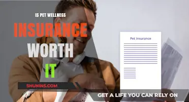 Pet Insurance: Is It Worth the Cost?