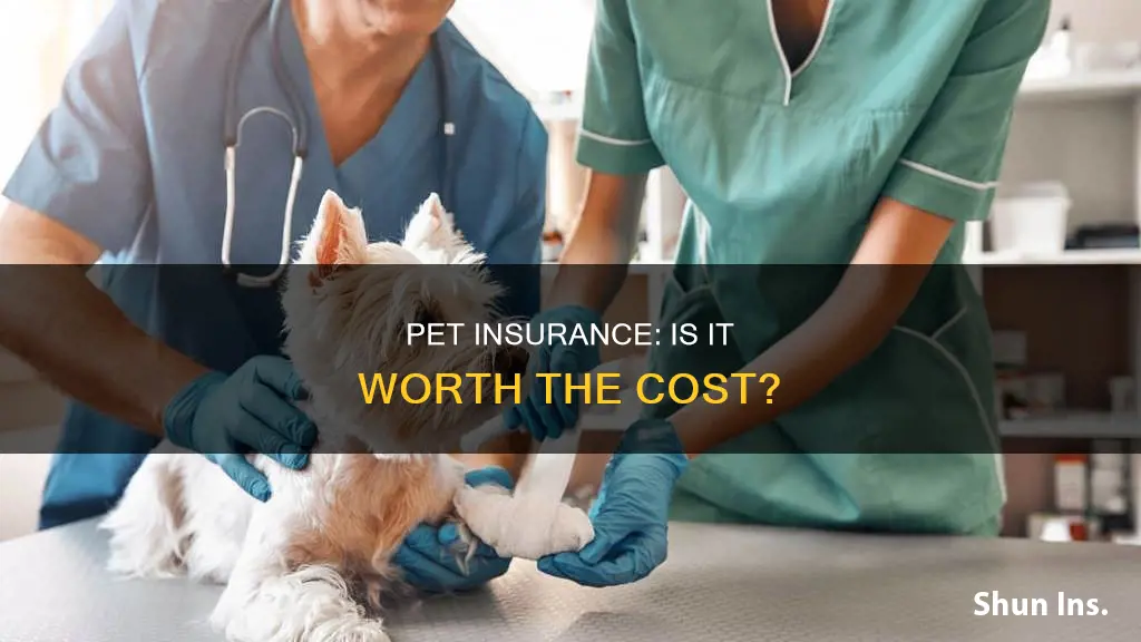 is pet wellness insurance worth it