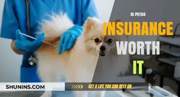 Petco Insurance: Is It Worth the Cost?