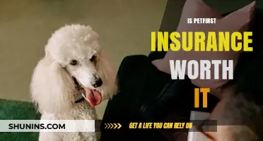 PetFirst Insurance: Is It Worth the Cost?