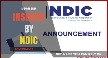 Are Piggy Bank Savings Insured by NDIC?