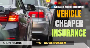 Pleasure vs Commute: Cheaper Insurance?