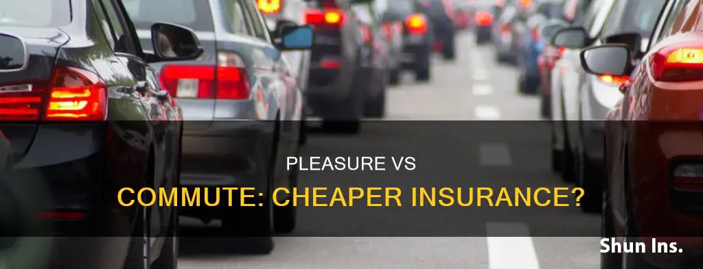 is pleasure vehicle or commute vehicle cheaper insurance