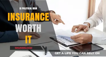 Political Risk Insurance: Necessary Protection or Wasteful Expense?