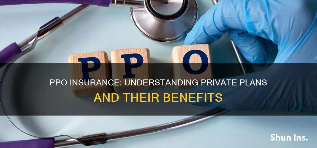 is ppo insurance private