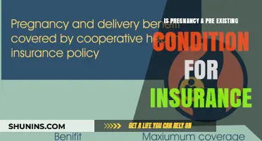 Pregnancy and Insurance: Understanding Pre-Existing Condition Policies