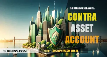 Prepaid Insurance: A Contra Asset Account Explained