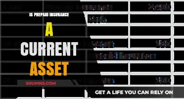 Is Prepaid Insurance a Current Asset? Understanding Balance Sheet Classification