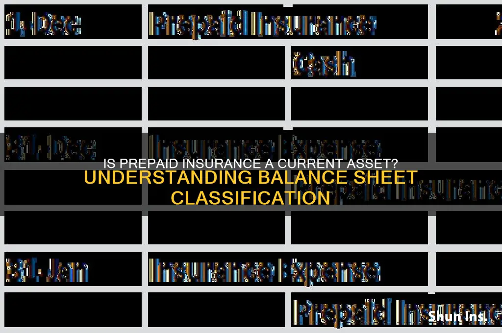 is prepaid insurance a current asset