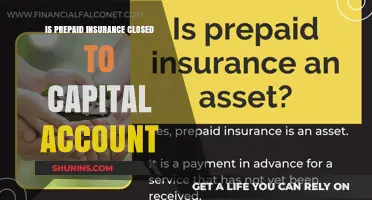 Prepaid Insurance: Capital Account Impact and Management