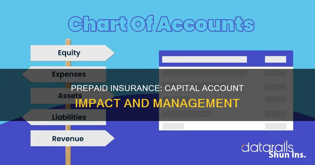 is prepaid insurance closed to capital account