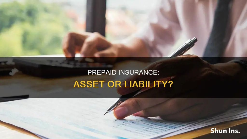 is prepaid insurance considered an asset