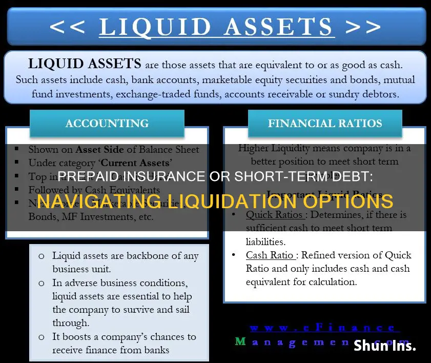 is prepaid insurance or short term debt investments liquidated