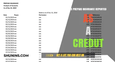 Prepaid Insurance: A Credit or Debit?