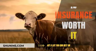 PRF Insurance: Is the Extra Cost Worthwhile?
