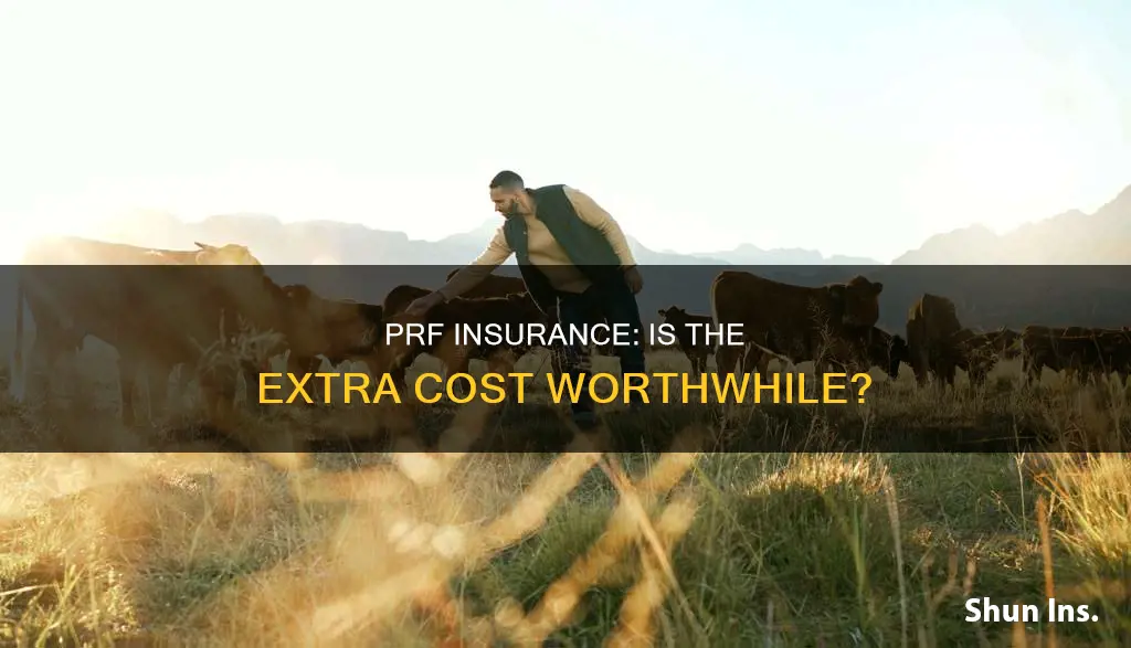 is prf insurance worth it