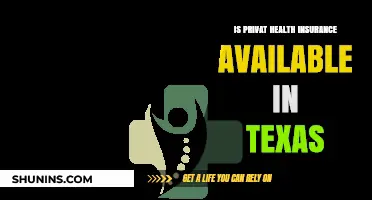 Exploring Private Health Insurance Options in Texas: A Comprehensive Guide