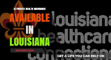 Exploring Private Health Insurance Options in Louisiana: A Comprehensive Guide