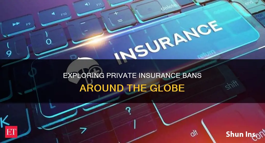 is private insurance banned in other countries