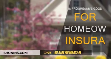 Progressive Insurance: A Good Homeowners Insurance Option?