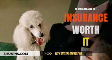 Pet Insurance: Is Progressive's Coverage Worth the Cost?