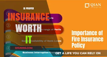 Insurance: Is Comprehensive Coverage Worth the Cost?