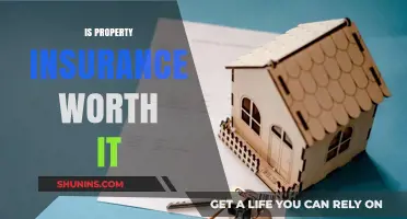 Property Insurance: Worth the Cost?