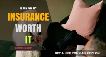 Pumpkin Pet Insurance: Is It Worth the Cost?