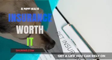 Protecting Your Furry Friend: The Value of Puppy Health Insurance