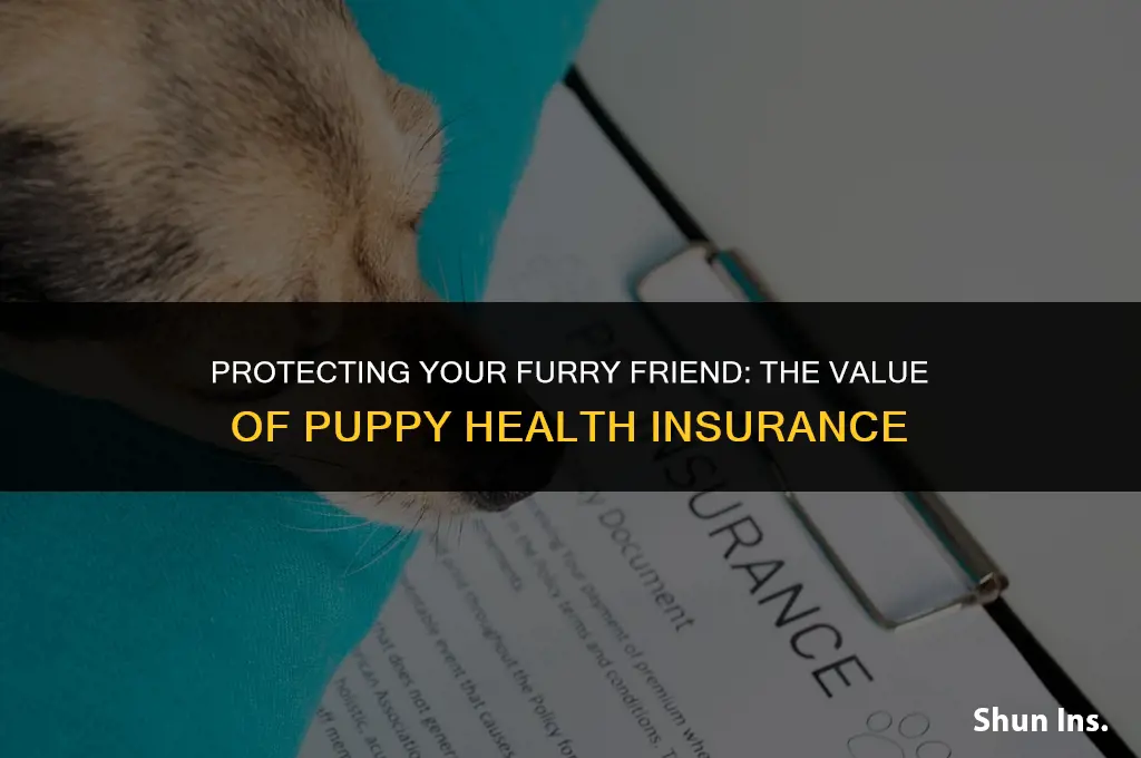 is puppy health insurance worth it