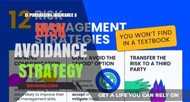 Insurance: Risk Avoidance or Risk Mitigation Strategy?
