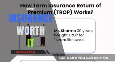 Pure Insurance: Worth the Cost?