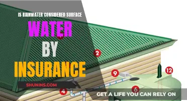 Rainwater: Surface Water Insurance Claims