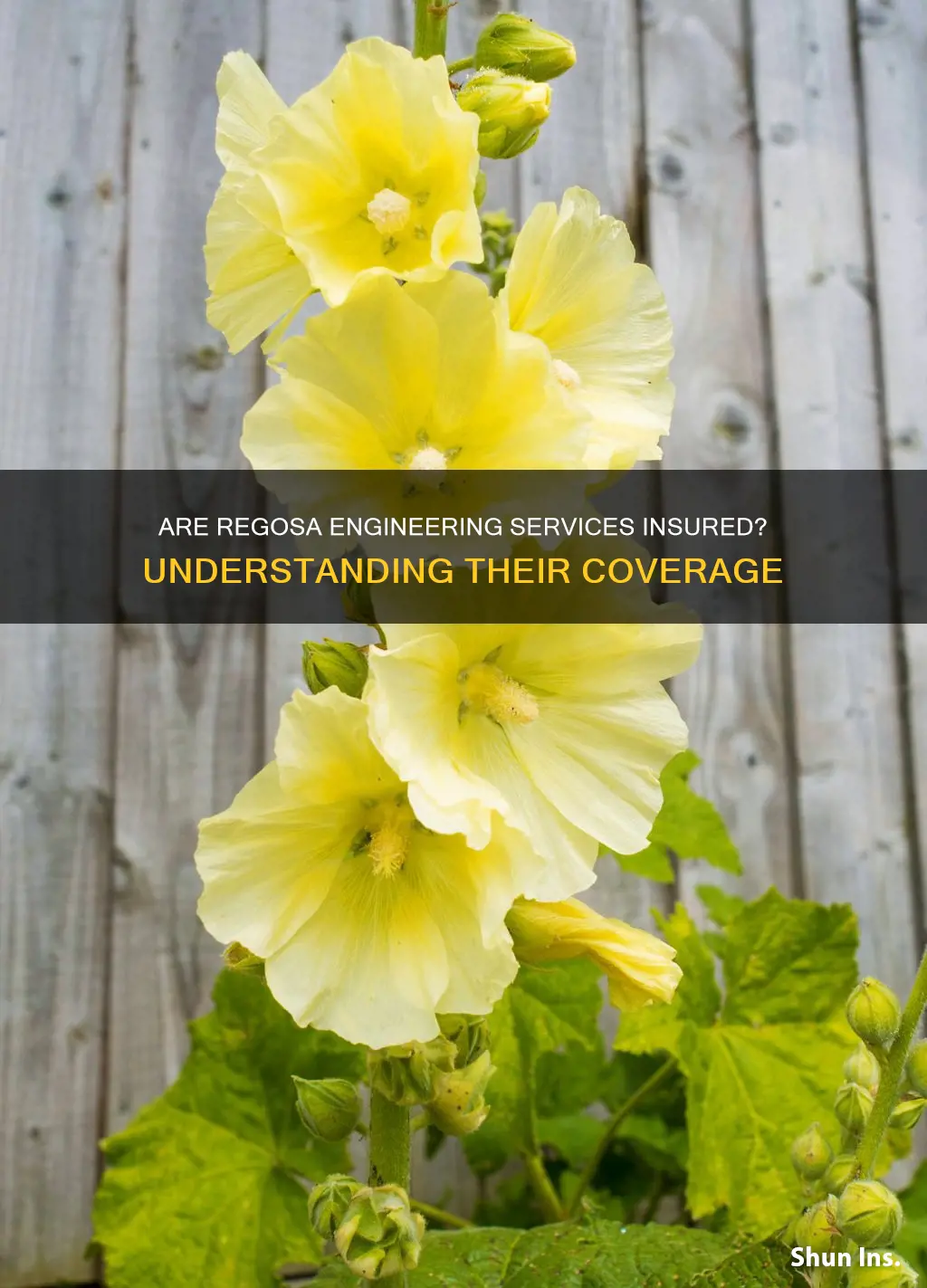is regosa engineering services insured
