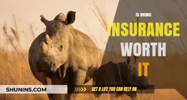 Rhino Insurance: Worth the Hype?