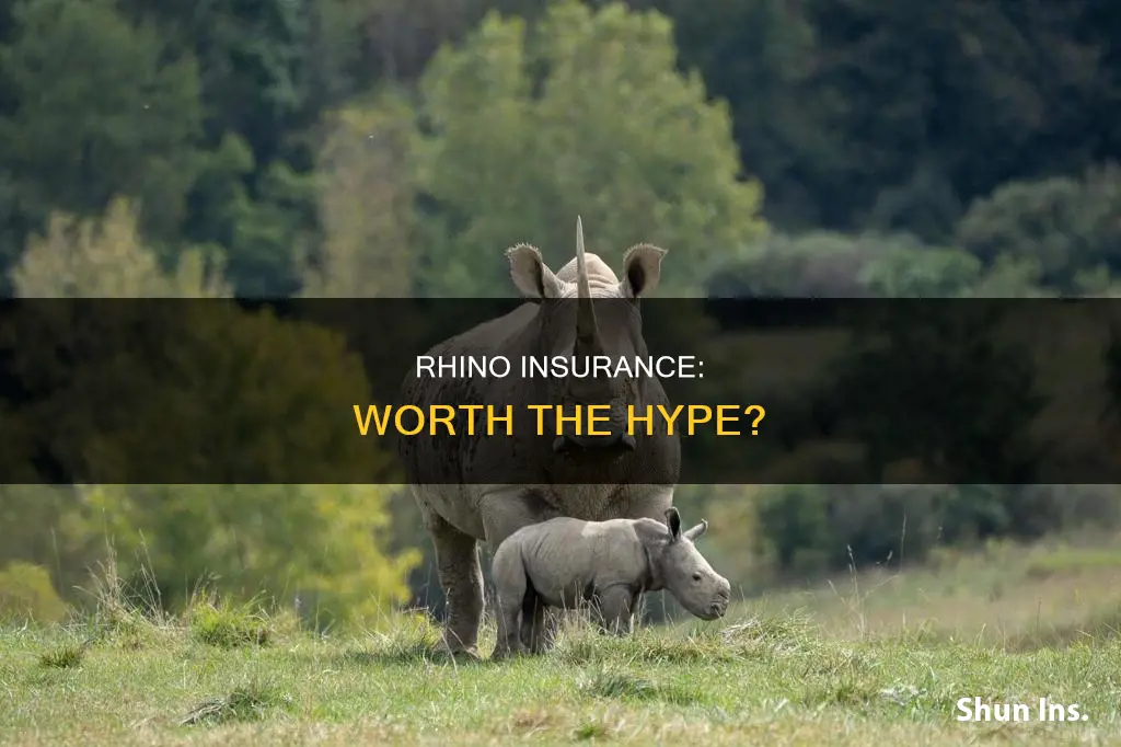 is rhino insurance worth it