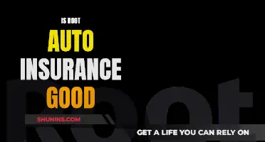 Root Auto Insurance: Good or Bad?